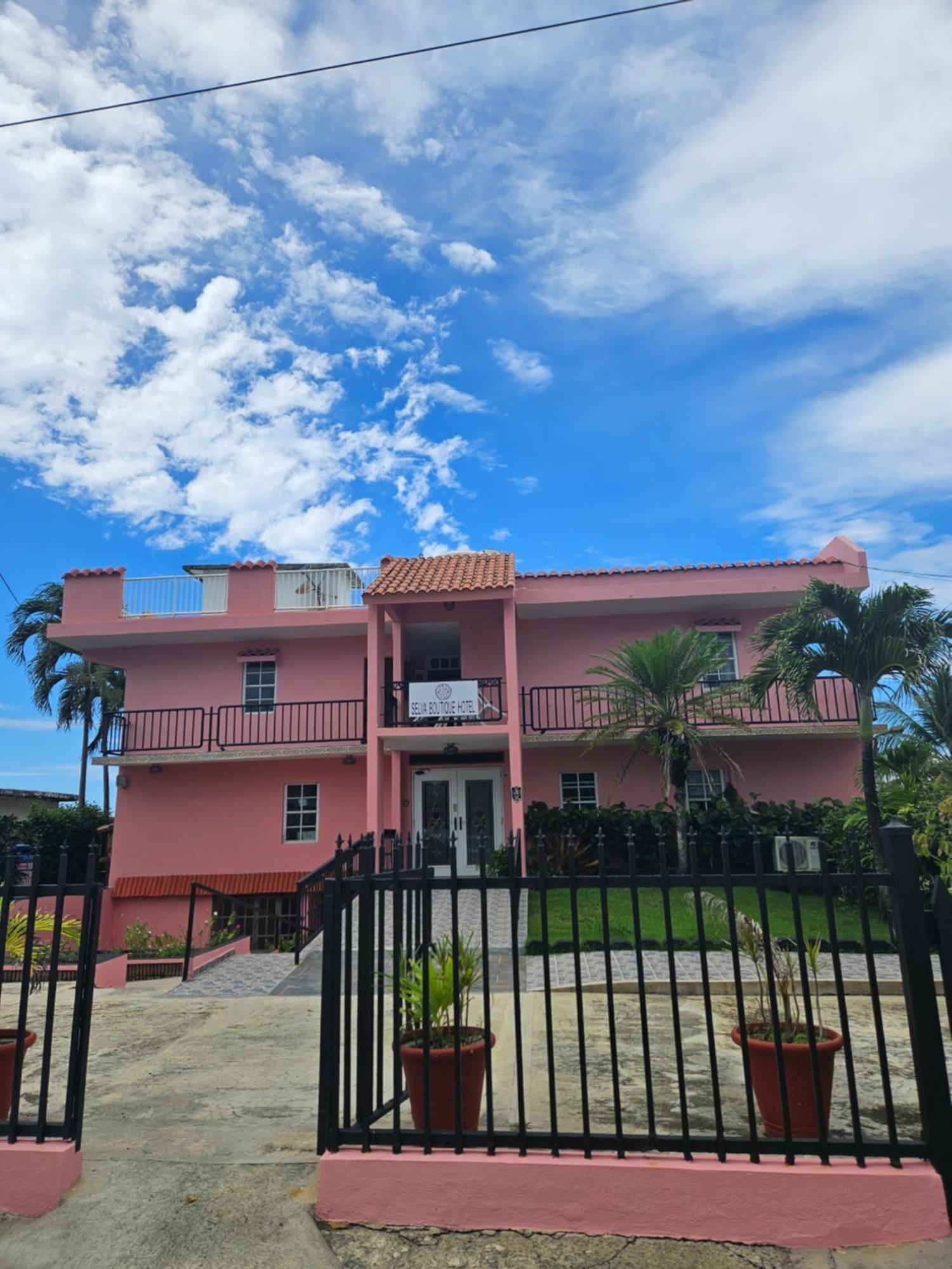 Selva Boutique Hotel - Luquillo Oceanfront Retreat - Adults Only Экстерьер фото